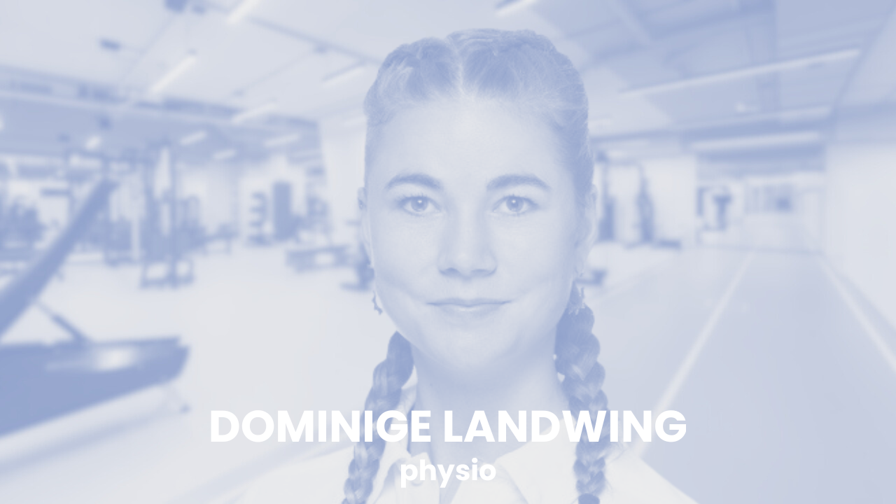 Dominige Landwing